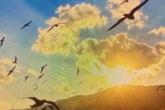 皇马欧冠备战：阿隆索临危受命应对后卫线伤情挑战