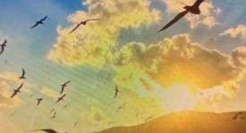 皇马欧冠备战：阿隆索临危受命应对后卫线伤情挑战